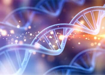 Veridos Announces Innovatrics as Strategic Partner for Advanced DNA ID Verification