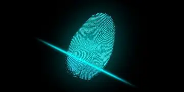 65% of Firms Plan to Expand KYC and Identity Automation Within a Year, PYMNTS Finds