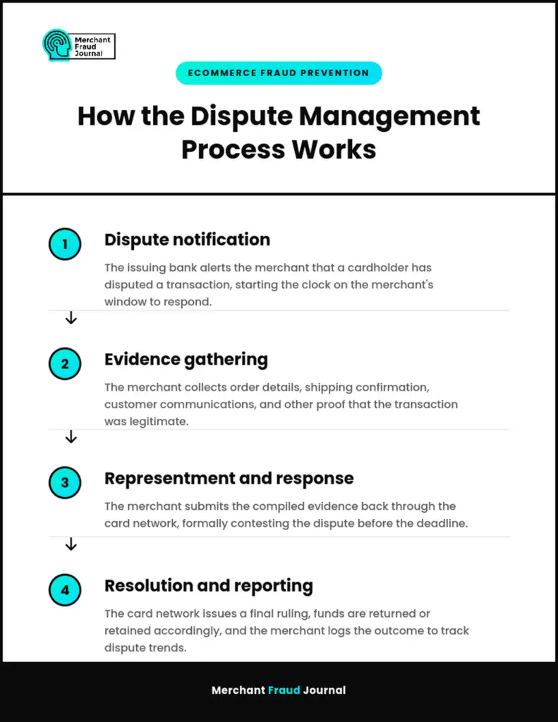Infographic: the 4-step dispute management process — notification, evidence gathering, representment, and resolution.